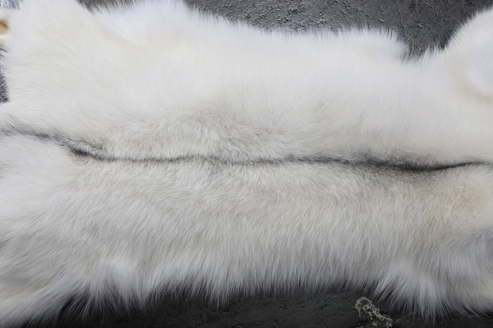 ARCTIC MARBLE FOX