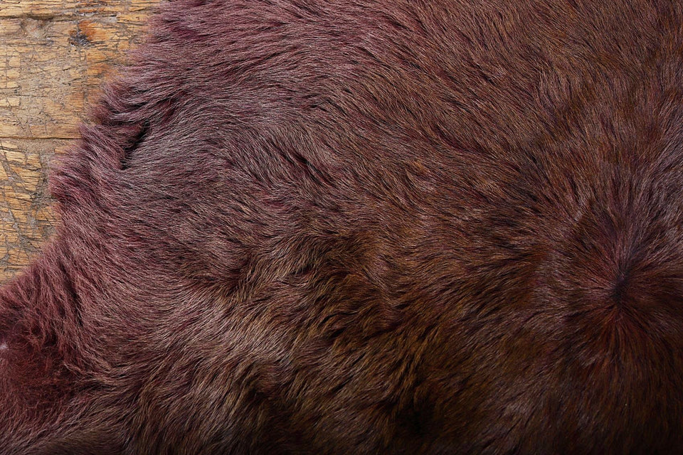HAIR ON CALF