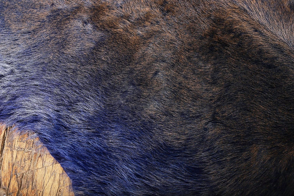 HAIR ON CALF