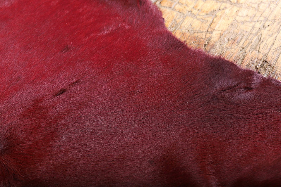 HAIR ON CALF