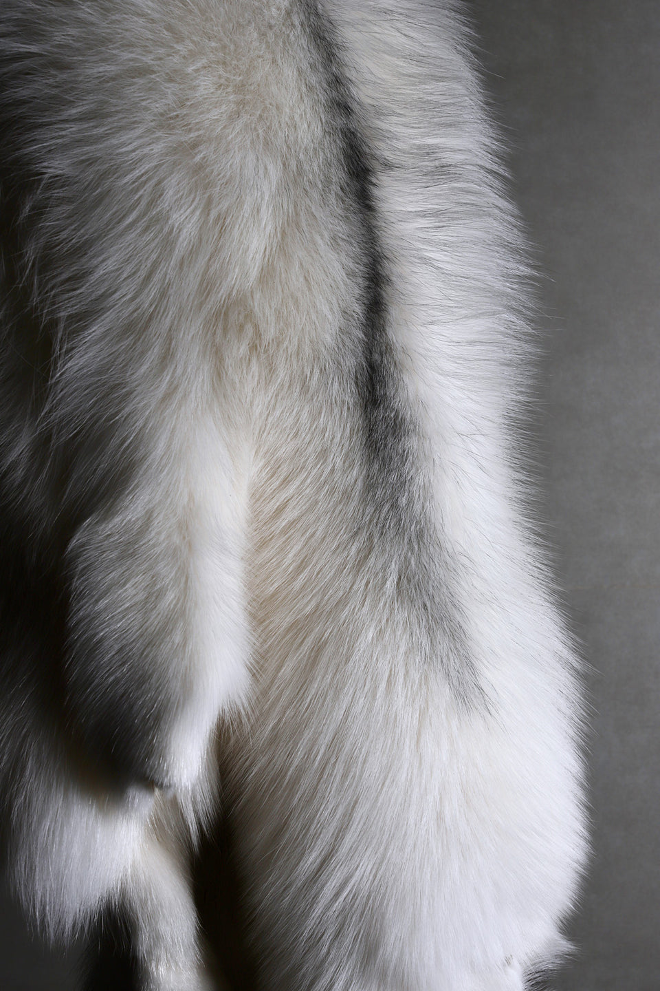 ARCTIC MARBLE FOX